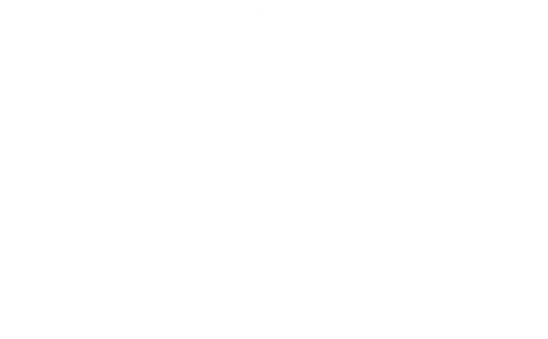 Projet Transbio basé sur l’analyse d’images pour la recherche scientifique
